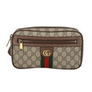 GUCCI Ophidia GG Supreme Belt Bag